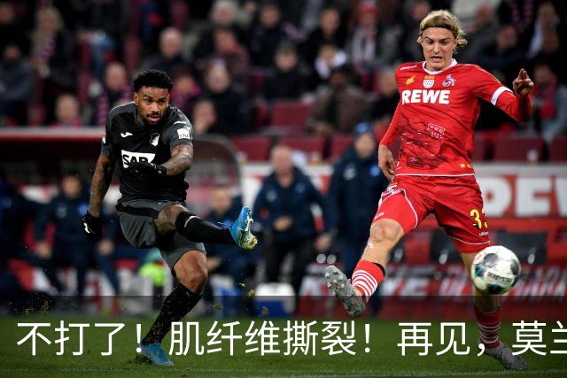不打了！肌纤维撕裂！再见，莫兰特