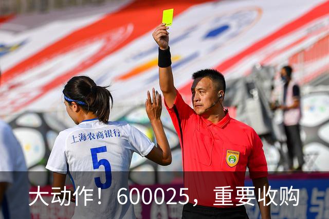 大动作！600025，重要收购