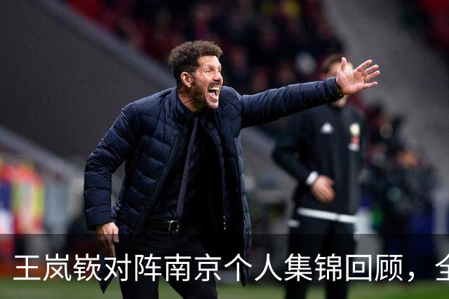 王岚嵚对阵南京个人集锦回顾，全场得到27分6篮板2助攻