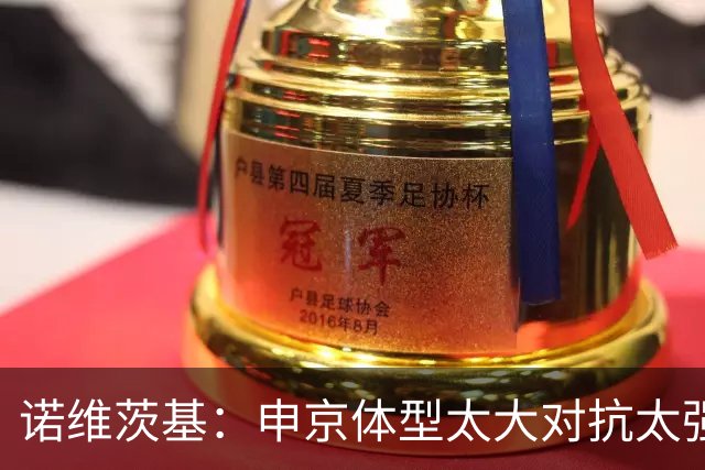 诺维茨基：申京体型太大对抗太强，马刺让他太轻松进篮下